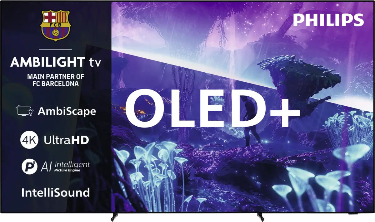 77OLED951/12