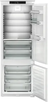 ICBNSd 7623-20