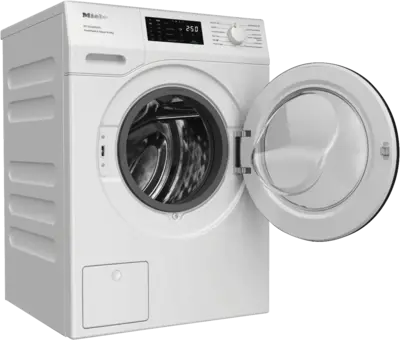 WEC 395 WPS Excellence PowerWash & SteamCare