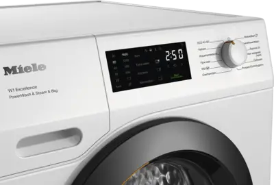 WEC 395 WPS Excellence PowerWash & SteamCare