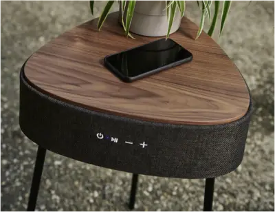 Salora Airtable Flow WV